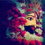 Aaru Vashisht Profile Picture