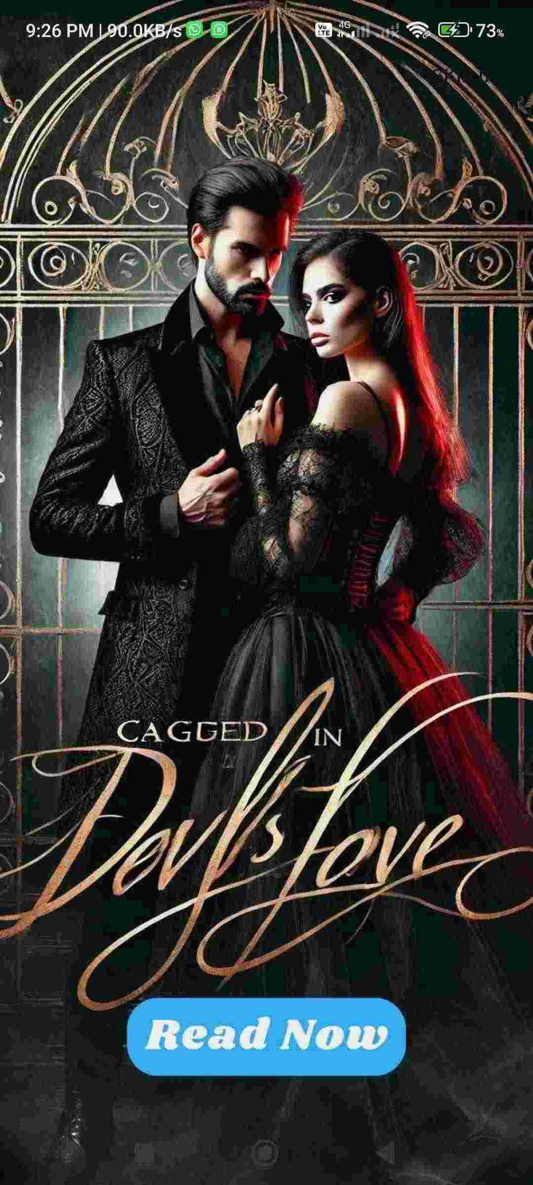 Novel Cover Image