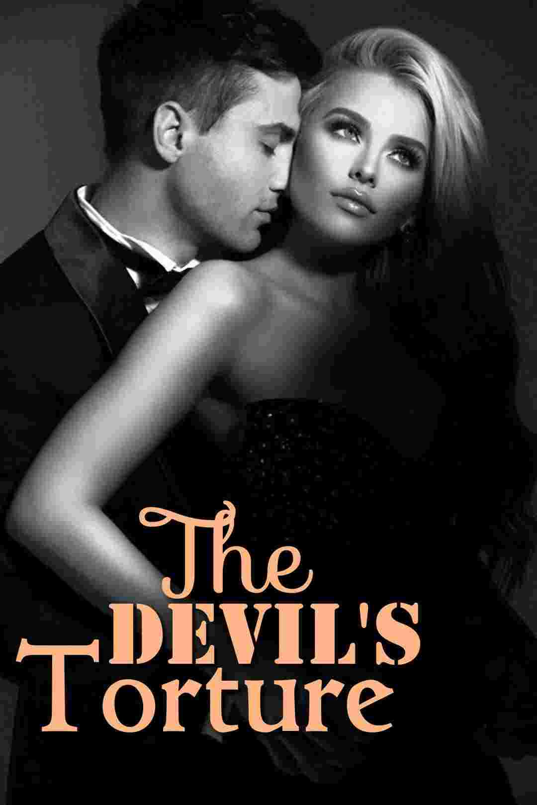 Novel Cover Image