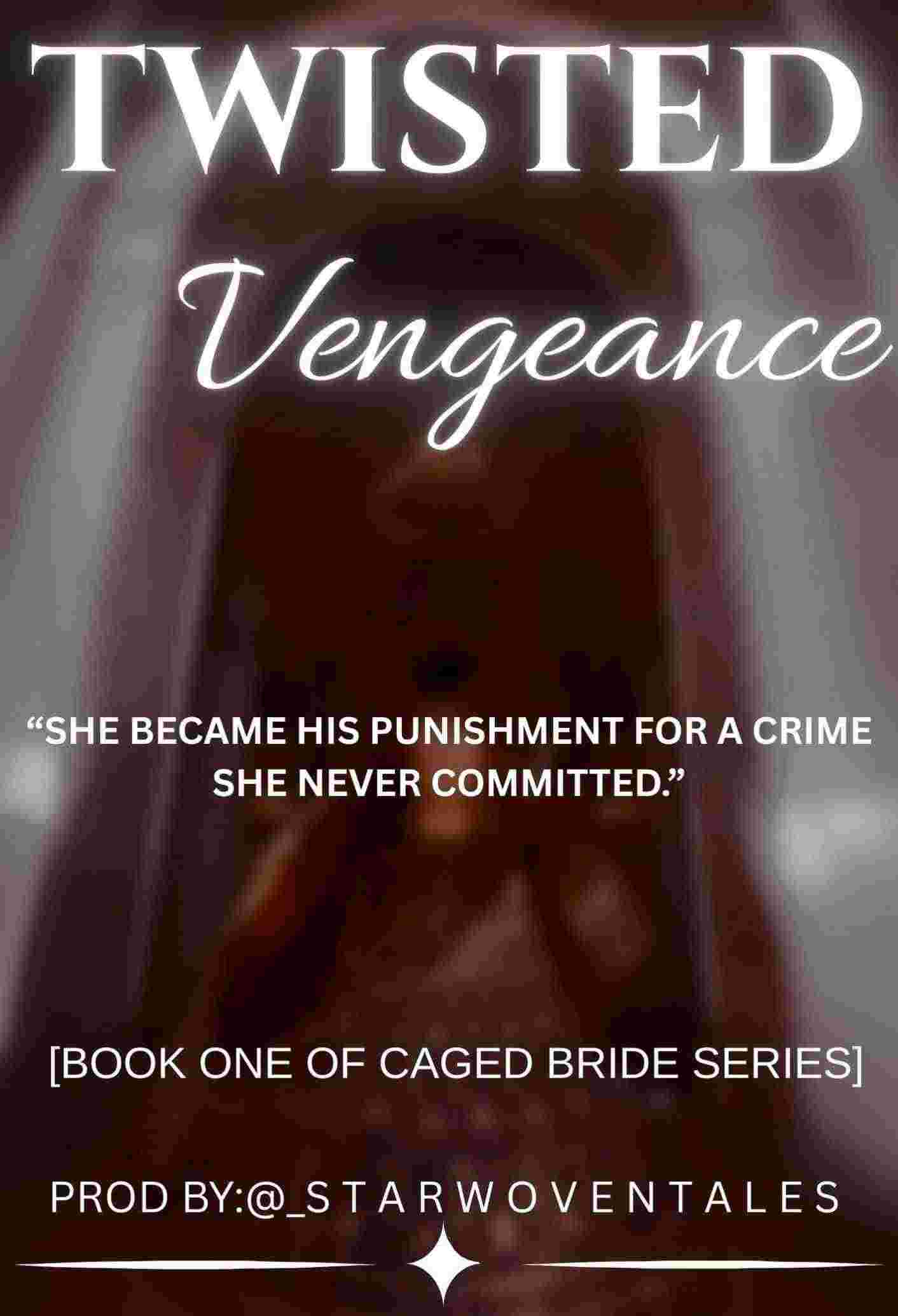 Novel Cover Image