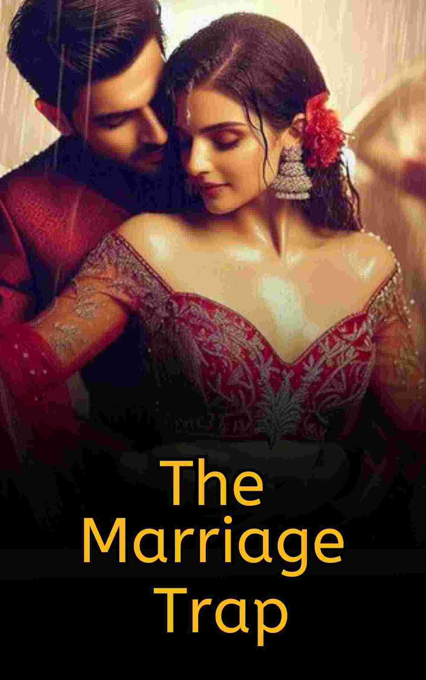 Novel Cover Image
