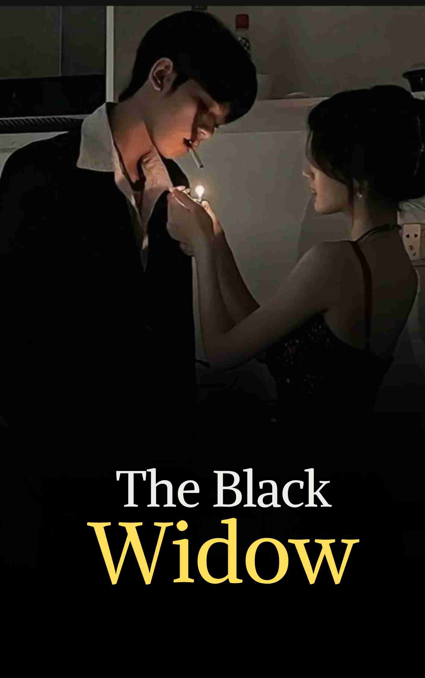 Novel Cover Image