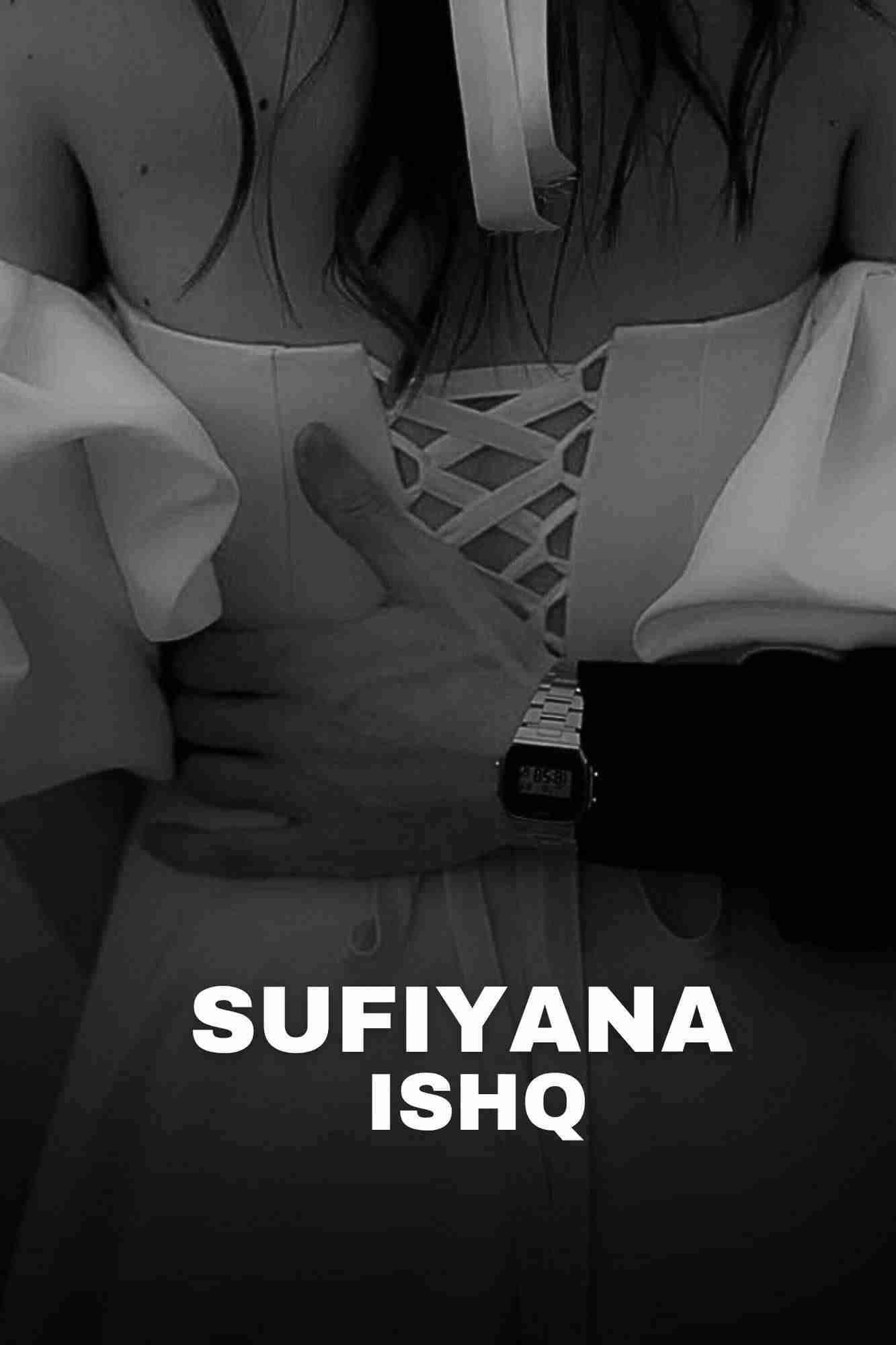 Novel Cover Image
