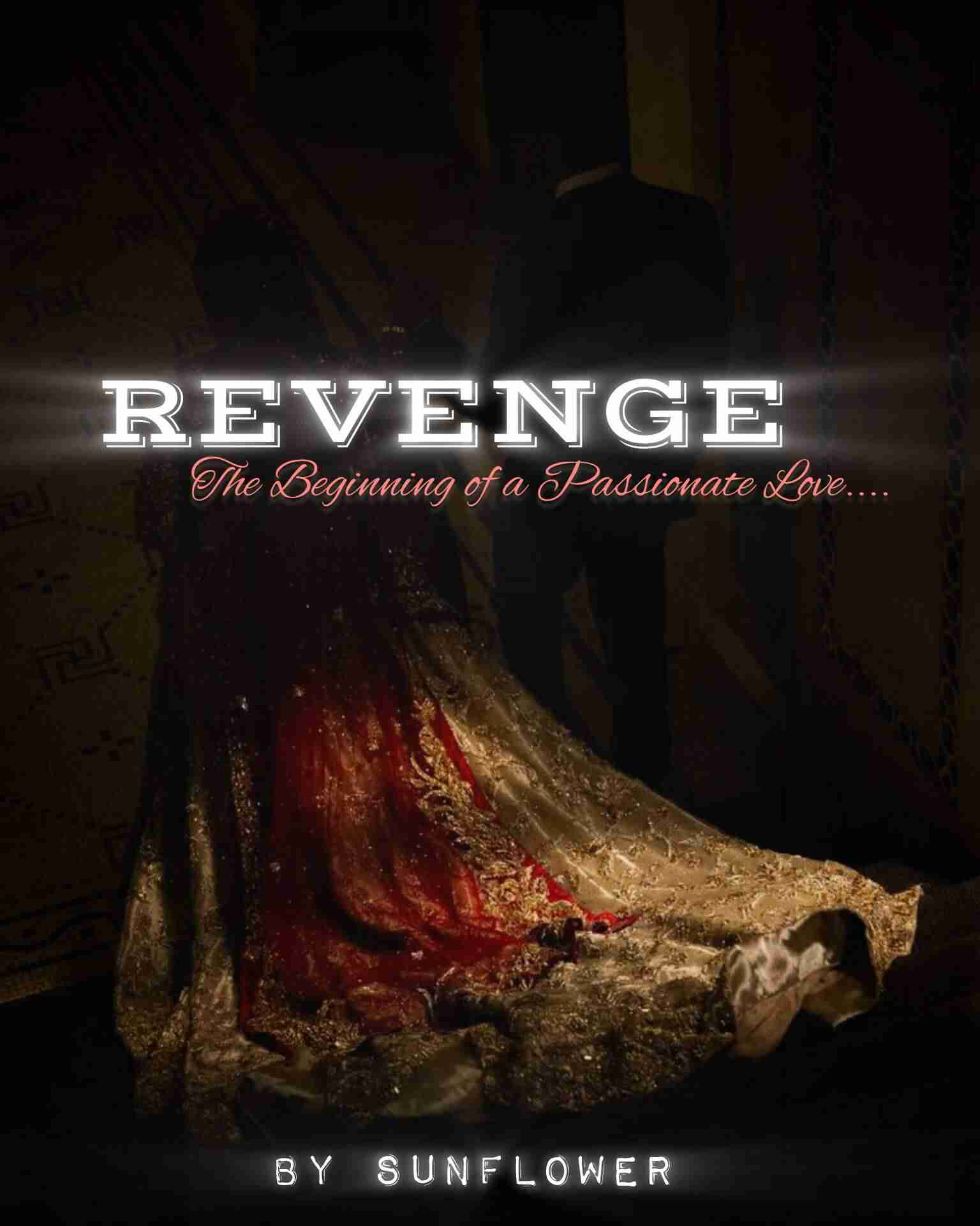 Novel Cover Image