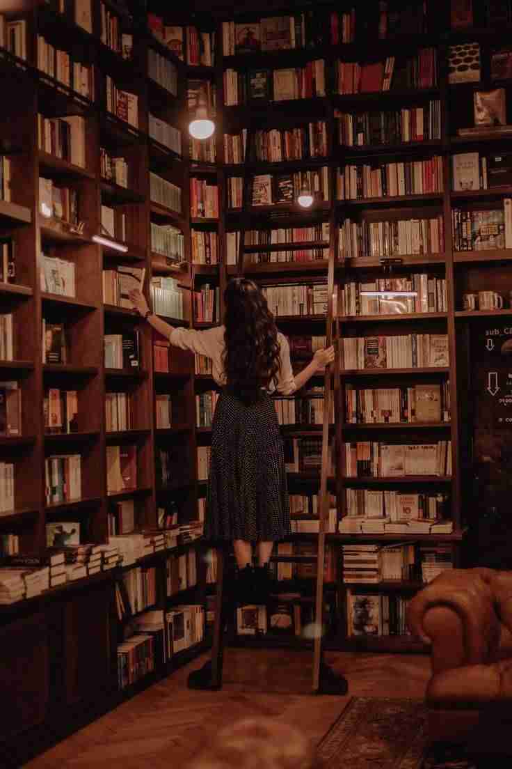 Novel Cover Image