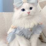 reetu Banjare Profile Picture